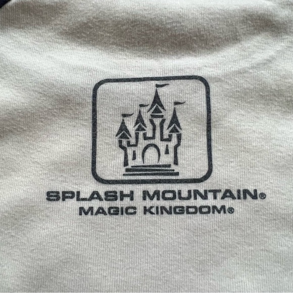 Disney Parks / Walt Disney World Splash Mountain “Dry Is Not An Option” Shirt - Picture 7 of 10